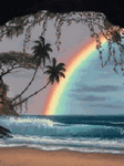 pic for Dolphin Dreams